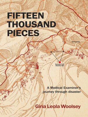 cover image of Fifteen Thousand Pieces